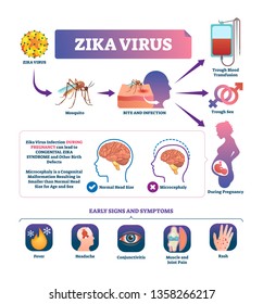 Zika virus vector illustration. Labeled mosquito bite infection signs and symptoms scheme. Epidemic disease transmission with blood, sex or pregnancy. Danger congenital syndrome birth defects warning.