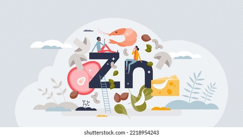 Zinc element in food as healthy rich product eating tiny person concept. Red meat and mushrooms as natural source for complete nutrition and organic method for vital vitamin intake vector illustration