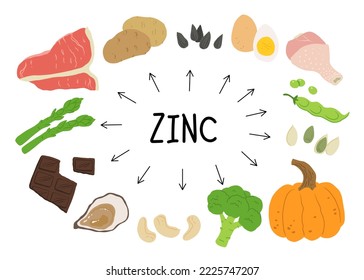 Zinc food sources vector stock illustration. Food products with a high content of zinc. Oysters, pumpkin seeds, sunflower seeds, eggs, asparagus, beef, chicken, cashew nuts. Information poster.