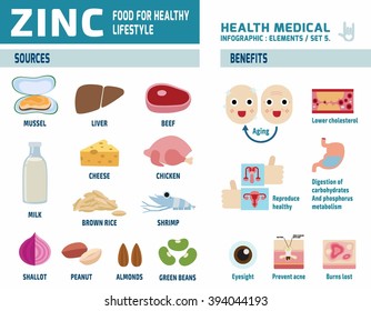 zinc. infographic elements. health care concept. flat cute cartoon design illustration. isolated on white background.