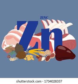 Zinc rich foods illustration on the blue background. Vector illustration