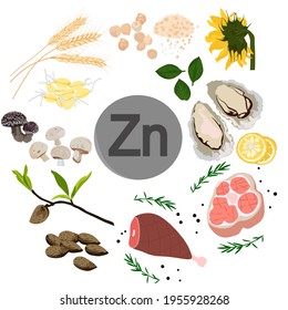 Zinc vector stock illustration. Food products with a high content of the mineral. Oysters, chickpeas, sunflower seeds, wheat, spinach, beef, pork. Information poster. Food, diet. isolated on a white b