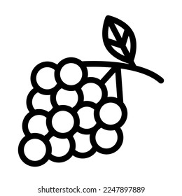 Zinfandel Grapes Vector Line Icon Design