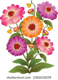 zinnia flower illustration cartoon vector