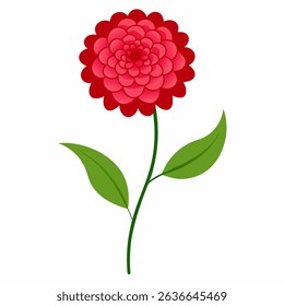 Zinnia flower line art vector. Zinnia on white background.