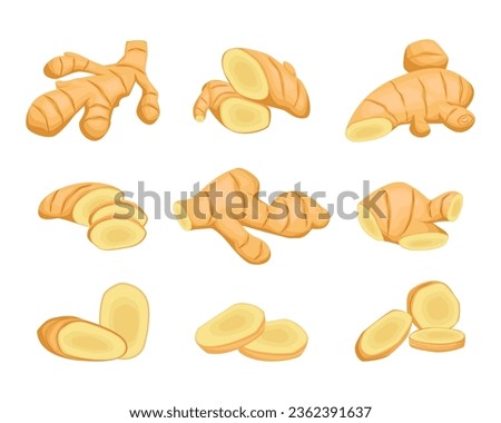 zinziber gingers set. cartoon tea gingers isolated on white background, cut ginger roots slices. vector cartoon plants.