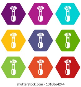 Zip icons 9 set coloful isolated on white for web