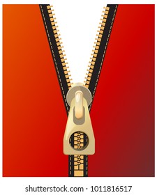 Zip - Open - Illustration
