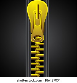 Zipper golden vector