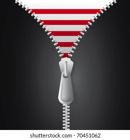 Zipper jacket in vector art