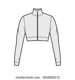 Zip-up cropped turtleneck jersey sweater technical fashion illustration with long sleeves, close-fitting shape. Flat outwear jumper apparel template front grey color. Women men unisex shirt top CAD