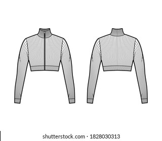 Zip-up cropped turtleneck ribbed-knit sweater technical fashion illustration with long sleeves, close-fitting shape. Flat jumper apparel template front back white color. Women men unisex shirt top CAD