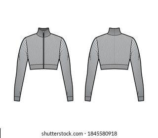 Zip-up cropped turtleneck ribbed-knit sweater technical fashion illustration with long sleeves, close-fitting shape. Flat jumper apparel template front back grey color. Women men unisex shirt top CAD
