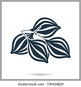 Zira seeds simple icon