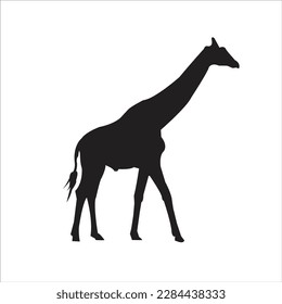 a ziraf black silhouette. Vector illustration