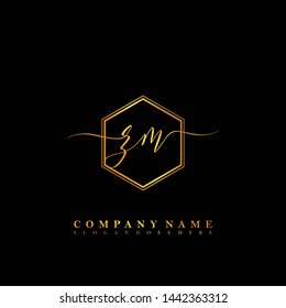 ZM Initial luxury handwriting logo vector
