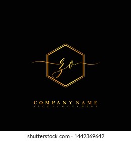 ZO Initial luxury handwriting logo vector