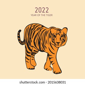 
Zodiac beautiful tiger year of the tiger. Depicted cartoon tiger vector graphics.