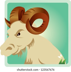 zodiac capricorn