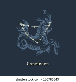 Zodiac constellation of Capricorn on background of hand drawn symbol in engraving style. Vector retro graphic illustration of astrological sign Sea Goat.