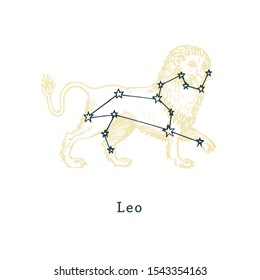 Zodiac constellation of Leo on background of hand drawn symbol in engraving style. Vector retro graphic illustration of astrological sign Lion.