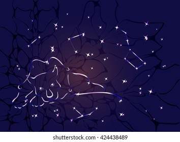 Zodiac constellation Lion. EPS10 vector illustration 