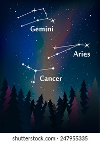Zodiac constellation in the night sky over the forest