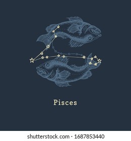 Zodiac constellation of Pisces on background of hand drawn symbol in engraving style. Vector retro graphic illustration of astrological sign Fishes.