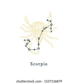 Zodiac constellation of Scorpion on background of hand drawn symbol in engraving style. Vector retro graphic illustration of astrological sign Scorpio.