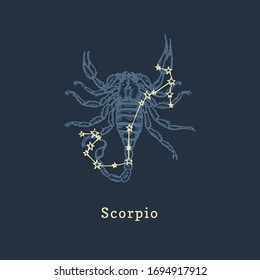 Zodiac constellation of Scorpion on background of hand drawn symbol in engraving style. Vector retro graphic illustration of astrological sign Scorpio.