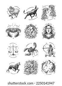 Zodiac constellation signs. Astrological symbols in engraving style. Illustrations of horoscope signs. Magic female characters, Boho design. Hand drawn bird. Engraved old monochrome sketch.