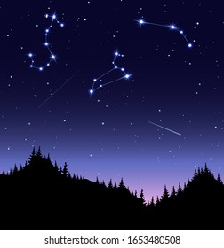 Zodiac constellations flat vector illustration. Scorpio, Leo and Aries in starry sky. Nighttime, darkness, shining celestial bodies, sparkling stars and meteors under coniferous forest