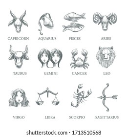 Zodiac constellations isolated icons vector. Astrological horoscope symbols, virgo and taurus, scorpio and leo signs. Capricorn and aquarius, pisces and aries, gemini and cancer, libra and sagittarius