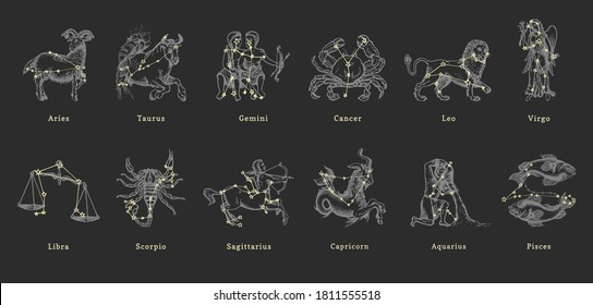 Zodiac constellations on background of hand drawn astrological symbols in engraving style. Vector retro graphic illustrations of horoscope signs.