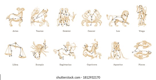 Zodiac constellations on background of hand drawn astrological symbols in engraving style. Vector retro graphic illustrations of horoscope signs.