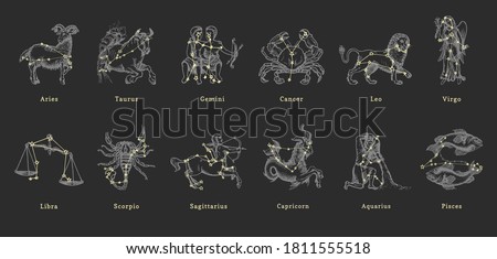 Zodiac constellations on background of hand drawn astrological symbols in engraving style. Vector retro graphic illustrations of horoscope signs.