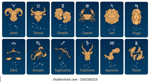 Zodiac constellations and signs. Horoscope cards with constellation stars, decorative zodiac sketch symbols. Astronomy zodiac map, zodiacal star posters. Isolated vector illustration icons set