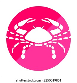 zodiac icon logo an imaginary circle in the sky centered on the ecliptic. zodiac Aquarius Pisces Aries Taurus Gemini Cancer Leo Virgo Libra Scorpio Sagittarius Capricorn various shapes