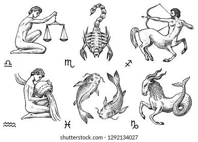 Zodiac icons. Astrology horoscope with signs. Calendar template. Collection outline animals. Classic vintage style. Libra Scorpio Sagittarius Capricorn Aquarius Pisces. Engraved hand drawn sketch.