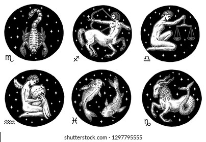 Zodiac icons. Astrology horoscope with signs. Calendar template. Collection outline animals. Classic vintage style. Libra Scorpio Sagittarius Capricorn Aquarius Pisces. Engraved hand drawn sketch.