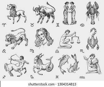 Zodiac icons. Astrology horoscope with signs. Calendar template. Collection outline animals. Vintage style. Libra Scorpio Sagittarius Capricorn Aquarius Pisces. Aries Taurus Gemini Cancer Leo Virgo.
