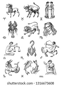 Zodiac icons. Astrology horoscope with signs. Calendar template. Collection outline animals. Vintage style. Libra Scorpio Sagittarius Capricorn Aquarius Pisces. Aries Taurus Gemini Cancer Leo Virgo.