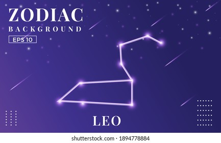 Zodiac Leo background at night with beautiful shooting star and stars ornaments. Perfect for copybook brochures, school books, Notebook paper, book, magazine template.