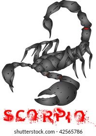 Zodiac Scorpio