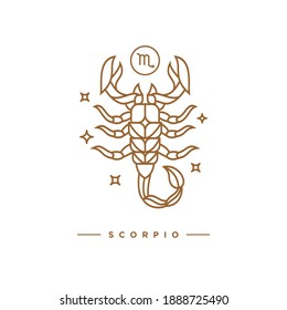 Zodiac scorpio horoscope sign line art silhouette design vector illustration. Creative decorative elegant linear astrology zodiac scorpio emblem template for logo or poster decoration.