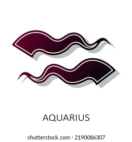 Zodiac sign Aquarius isolated on white background. Zodiac constellation. Vector illustration. Flat design element for horoscope and astrological forecast. Vector illustration.