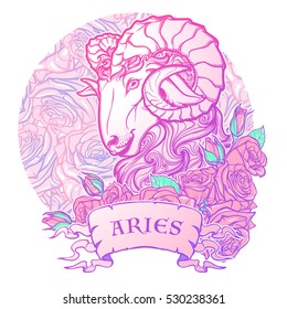 Zodiac sign of Aries. with a decorative frame of roses Astrology concept art. Tattoo design. Sketch in pastel pallette isolated on roses background. EPS10 vector illustration.