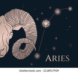zodiac sign aries, sheep head, black and gold, with space (stars)
