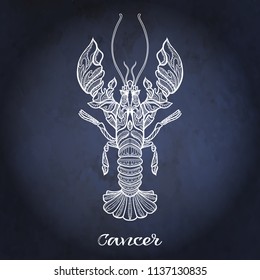  Zodiac sign. Astrological horoscope collection. White on dark  blue, black space  background. Vector illustration