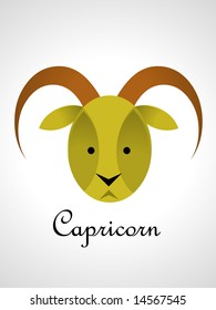 Zodiac Sign  - capricorn